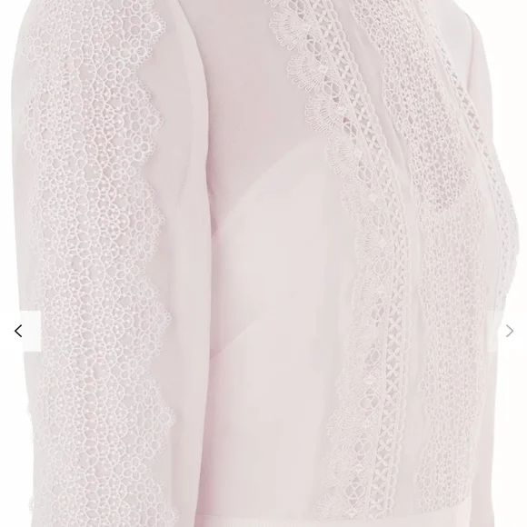 Ted Baker Looez Lace Trim Dress, Pink Nude Size 6-8 - Picture 4 of 16